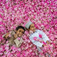 فهد المقبالي (@aabbaa112112) 's Twitter Profile Photo