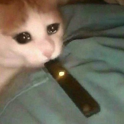 TheUntoldOnes's profile picture. 