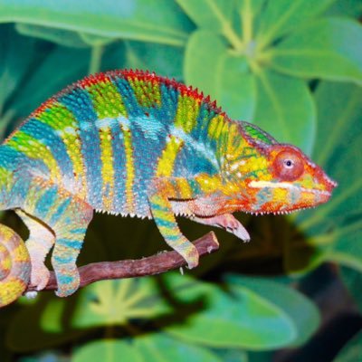 jfkdkdkffltltg's profile picture. jackson, they/them and certified bad bitch