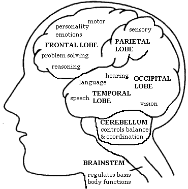 ait1st's profile picture. Unique proven training - improves our ability to receive, process, store and use what we hear -
which affects our listening, learning and our communication