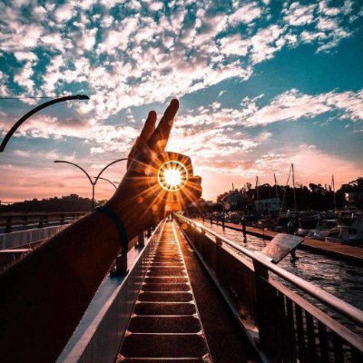 biomax89241's profile picture. 