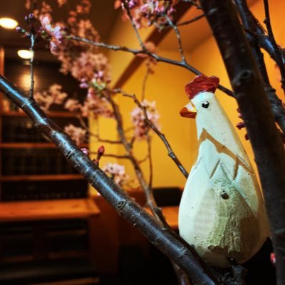 Hayato35347738G's profile picture. 焼き鳥屋さん だったり 🍻海🏖海外🏝が好き 下手だけど、ゴルフとサーフィンが好き🏄‍♂️よく食べよく飲みよく遊びます🌊てか、めっちゃ食べめっちゃ飲みめっちゃ遊びます🌊