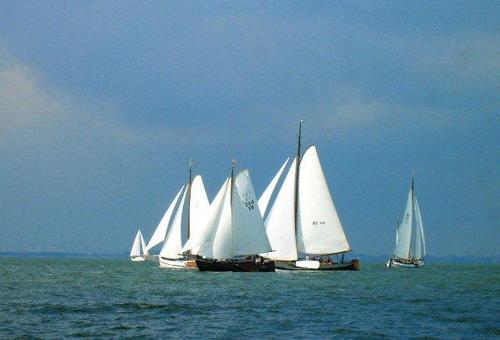 werfrijnsoever's profile picture. Jachtwerf die ambachtelijk traditionele zeil- en motor jachten bouwt. Vernieuwend is een diesel elektrisch voortgestuwd motorjacht van 11.30 m met stuurhuis.