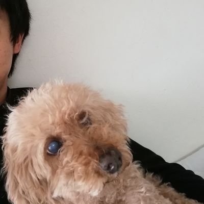 Zumi_Shun's profile picture. 