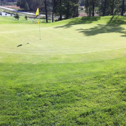 chriscraft1337's profile picture. 