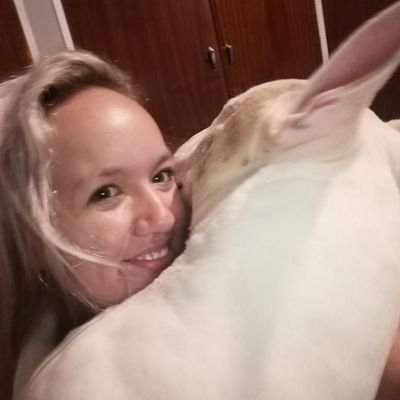 Bull Terrier from South Africa,
Ragnar adores his mom's love and affection. Wherever she goes, he goes too. Making new friends is what he enjoys the most!