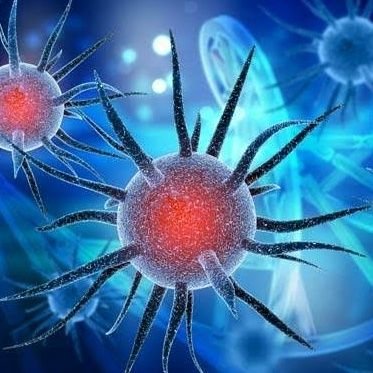 babykaronaa's profile picture. ..