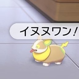 ユウダイ 社会人ポケモントレーナー Ygatrw3oyp6knir Twitter