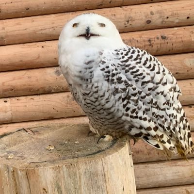 miyomiyobuuu's profile picture. インテリアコーディネーター