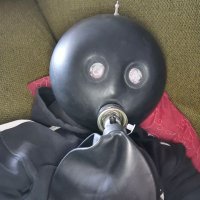 Ingo (@ingosiehts) Twitter profile photo