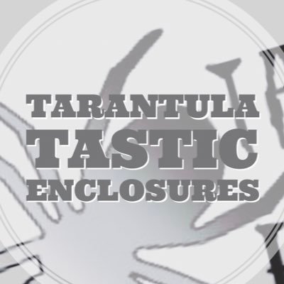promoting my channel and building crazy tarantula enclosures https://t.co/J1IMHQzF49