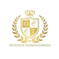 OpulenceThoroughbreds (@opthoroughbreds) 's Twitter Profile