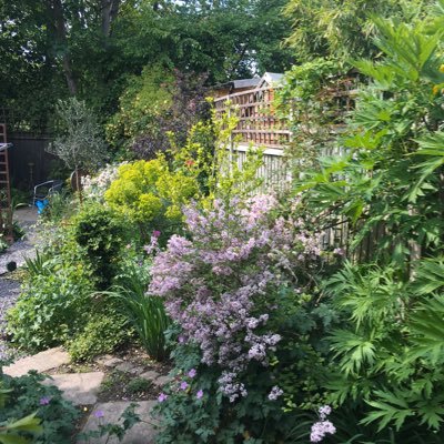Fund the NHS properly. The planet will survive, the environment will not. Not all baby boomers are selfish. Concerned Grandma. Love my garden. 💙💙💙