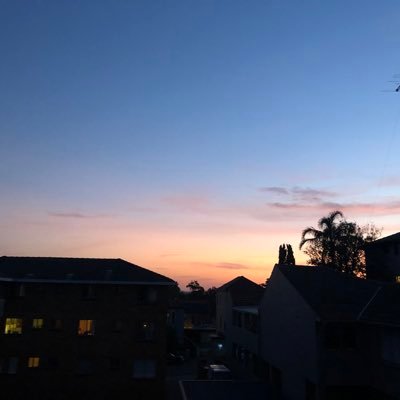 xiaoqingtian1's profile picture. 