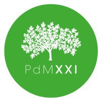 Pla de Mallorca XXI (@plamallorcaxxi) 's Twitter Profile