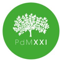 Pla de Mallorca XXI(@PlaMallorcaXXI) 's Twitter Profile Photo