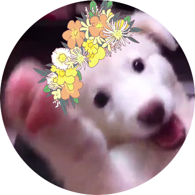 チャーリー🐕‍🦺(あと6kg)さんのプロフィール画像