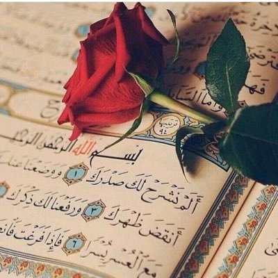 الحياة قصيرة جداً لا تستحق الحقد، الحسد، البغض، النفاق وقطع الأرحام غدا سنكون ذكرى فقط ابتسموا وسامحوا من اساء إليكم، فأهل الجنة قلوبهم سليمة..✨💛