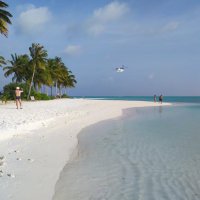 Berciano power (@vanderluber) 's Twitter Profile Photo