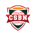 Collegiate Summer Baseball Network (CSBN) (@PlaySummerBall) Twitter profile photo