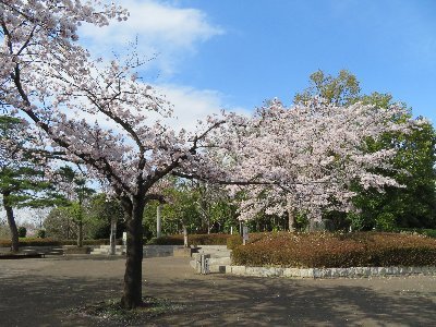 オススメ 写真集情報 Tccf40nmshqiaq4 Twitter