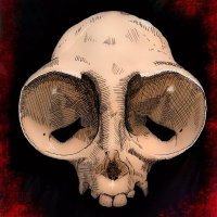Matthew Saunders (@creech) 's Twitter Profile