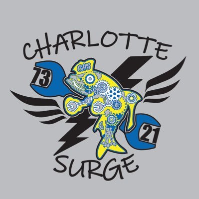 Charlotte Surge 7321