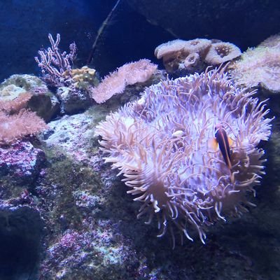 exploring4truth's profile picture. ‏ئەركىن ئادەم