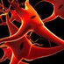 Rutgers Neuroscience (@ru_neuropsych) Twitter profile photo Rutgers Neuroscience (@ru_neuropsych) Twitter profile photo