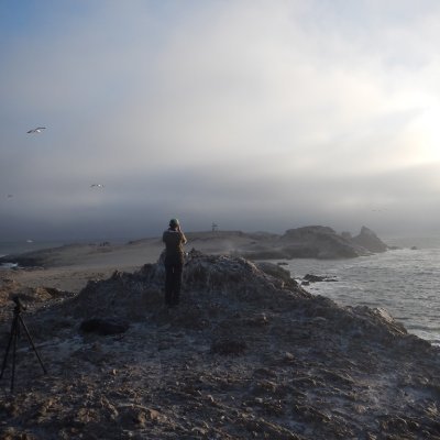 Biologist - Bird lover🐧
Project Lead - Commission for Environmental Cooperation (CEC)
Circular Economy, Renewable Resources and Enviromental Education