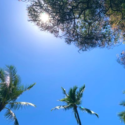 Aloha_nui_loa_ Profile Picture
