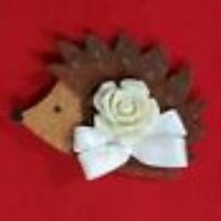 Hedge Rose Floral Design(@HedgeRoseFloral) 's Twitter Profile Photo