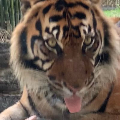 GSchwartman's profile picture. Proud of my children & of my grandchildren.