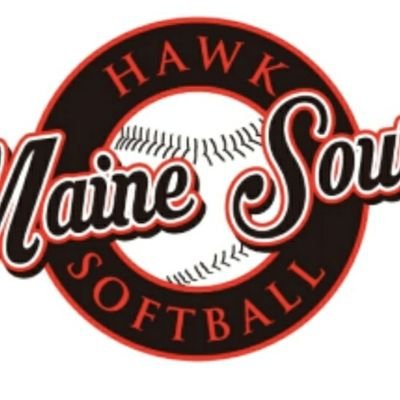 MSSBHawks's profile picture. Maine South Softball. Park Ridge