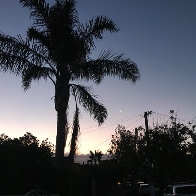 librarywheel123's profile picture. I am a tertiary education library manager in new zealand