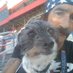 Jerry Rizzo/Cruzer (@jerryrizzo1) Twitter profile photo Jerry Rizzo/Cruzer (@jerryrizzo1) Twitter profile photo