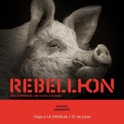 REBELLION en LA GRANJA, el nuevo Evento Sarmiento. El mejor festival que no conoces del mundo. Instagram: @eventosarmiento