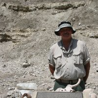 Reid Farmer (TR_Farmer_archaeology)(@farmer_tr) 's Twitter Profile Photo