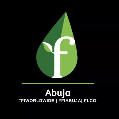 Founder Institute Abuja