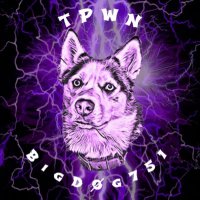 ╟TPwn╢bigdog_gaming75 (@bigd0g751) 's Twitter Profile