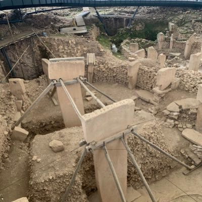 patronma's profile picture. 