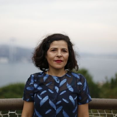 Maîtresse de conférences en science politique. Entpe/ laboratoire EVS. #Turquie #France