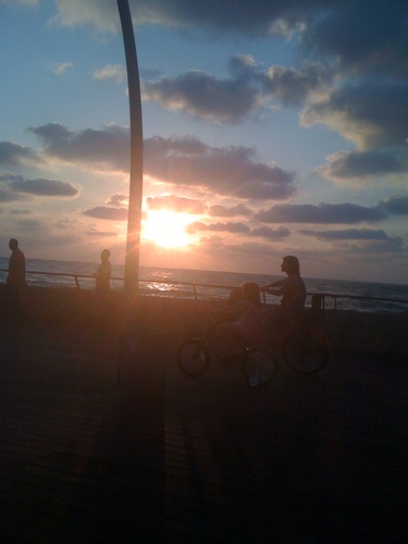 sterneli's profile picture. Advocate Notary and Photographer