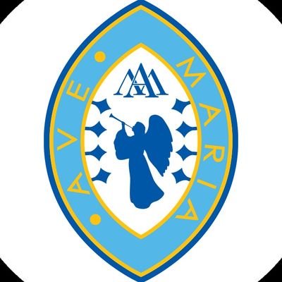 OLA Primary School Profile