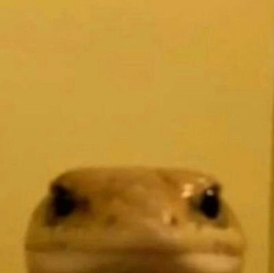 pepegaman69's profile picture. no