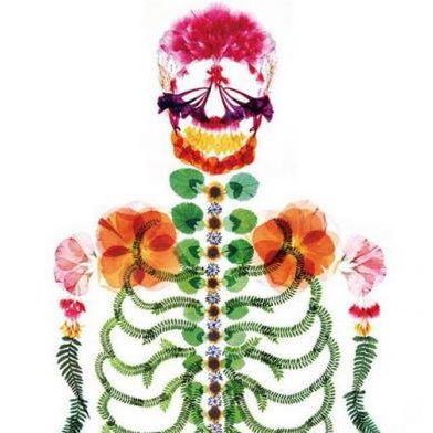 NptonOsteopaths's profile picture. Any nagging pains, aches or acute strains causing you problems? Based in #Northampton. Call us today on 01604 700508 so that we can help.