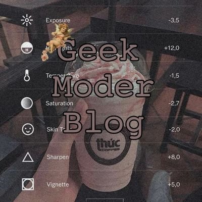 _.geek_moder_blog._