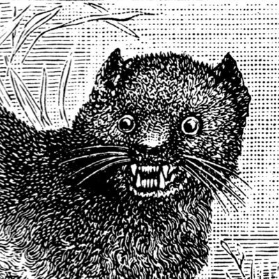 badge44272944's profile picture. コミニケーションとディスコミケーションの中間