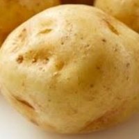 哲学するポテト (@logicalpotato3) 's Twitter Profile