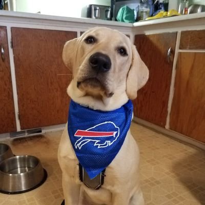 Go Bills!
Happily Married for 9 years.  As a hobby, I play guitar.  I don't play slow, and I don't play fast, and that makes me a half fast guitar player.